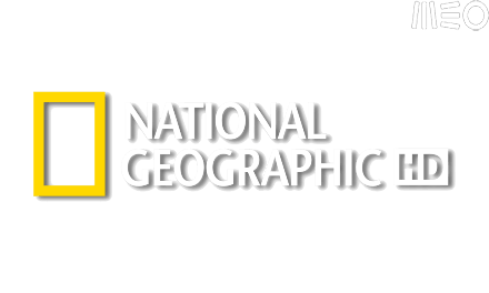 national MEO